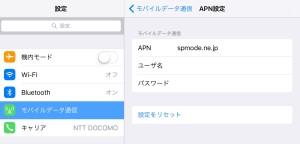 「設定」→「モバイルデータ通信」→「API」